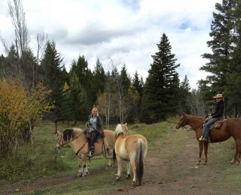 volunteer riding zeus