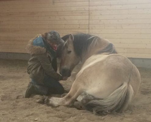 Zeus and Niamh in arena